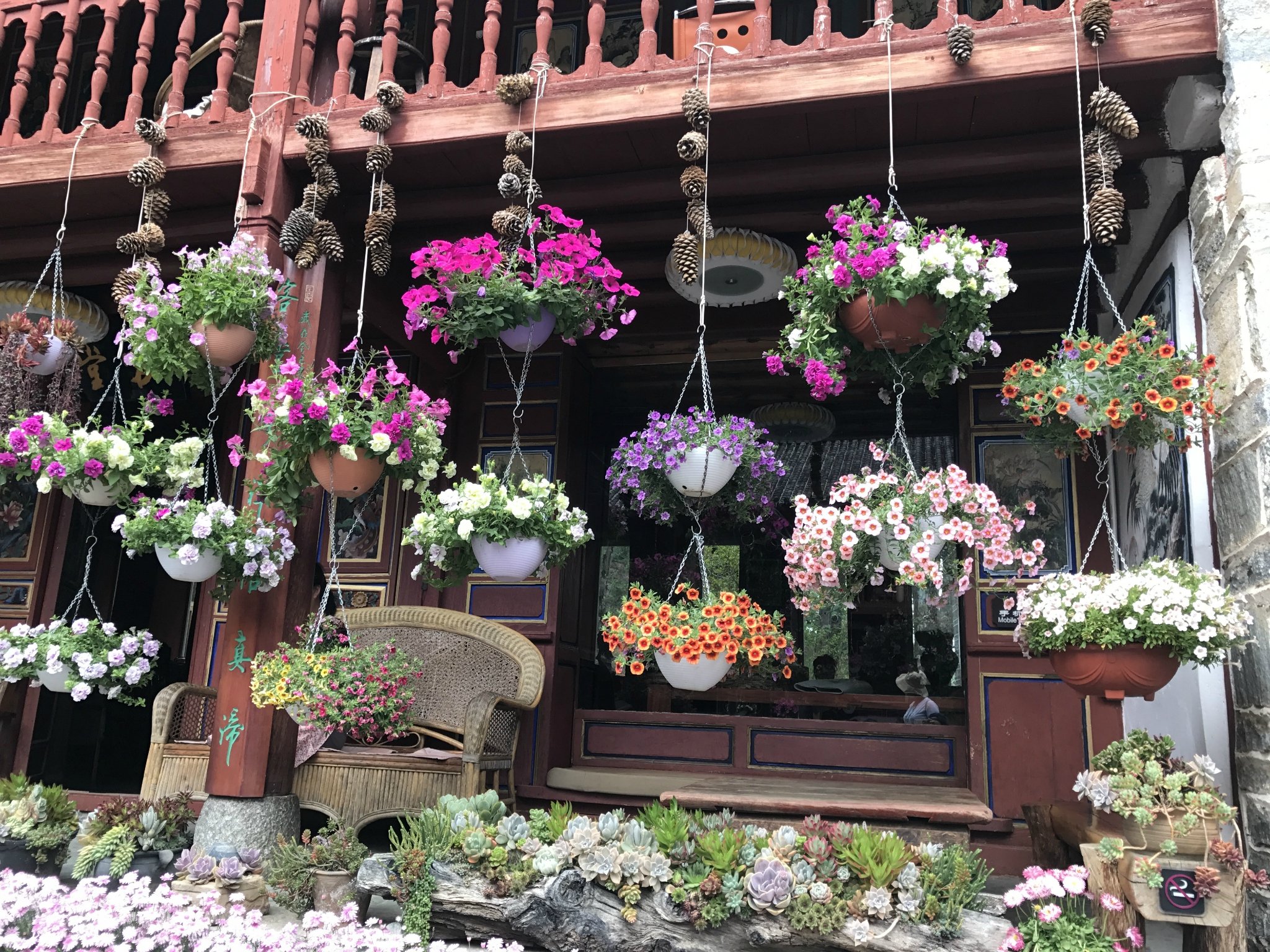 今天寂照庵,和颖姐,还有和江西的两个小美女,他们现在在客栈做义工