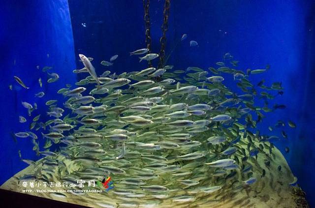 丹麦国立水族馆