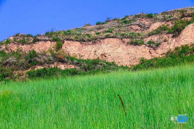 南凉虎台遗址公园