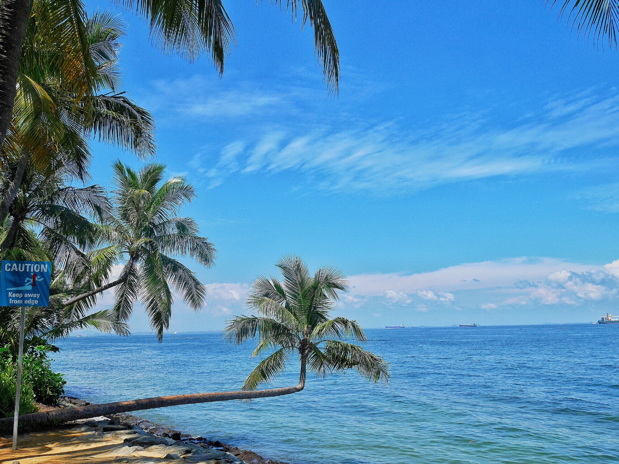 岛上很方便下了怡丰城和圣淘沙的捷运火车后岛上会有专门的旅游观光车