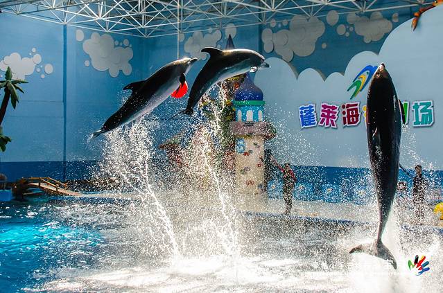 蓬莱欧乐堡海洋极地世界