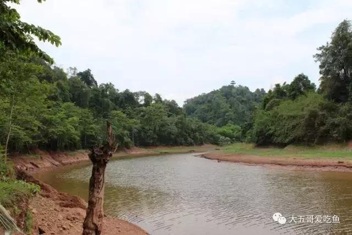 2017.,听说有免税店,对我这种没有购买欲和购买