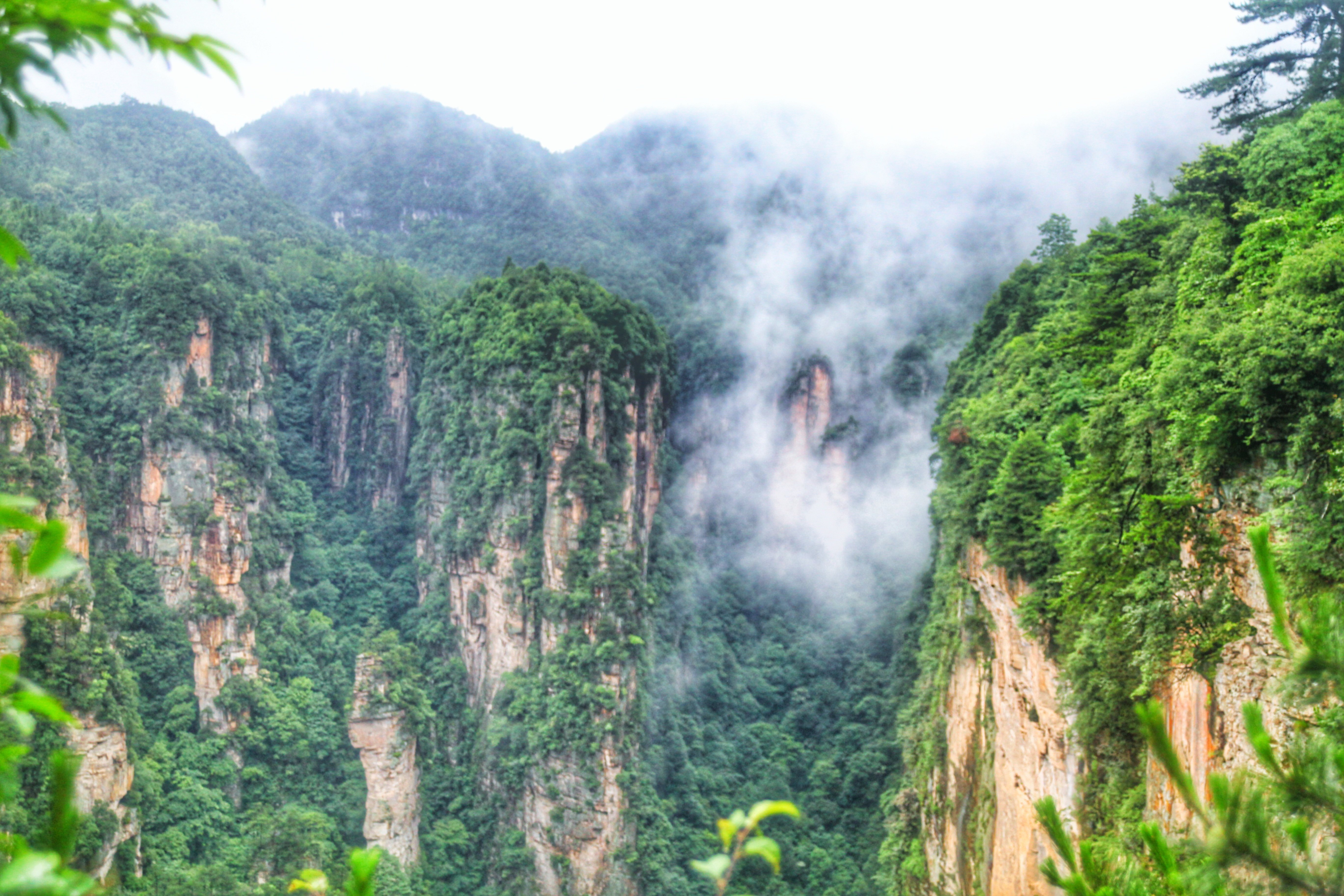 89 首页 张家界武陵源,世上少有以地域命名地貌的绝美风光 御笔峰是