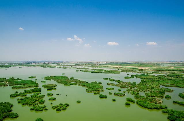 沙湖生态旅游区