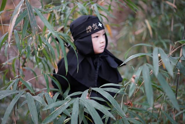 伊贺流忍者博物馆