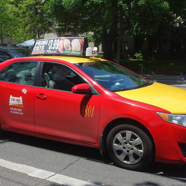 8多伦多大学门票,多伦多多伦多大学游玩攻略,