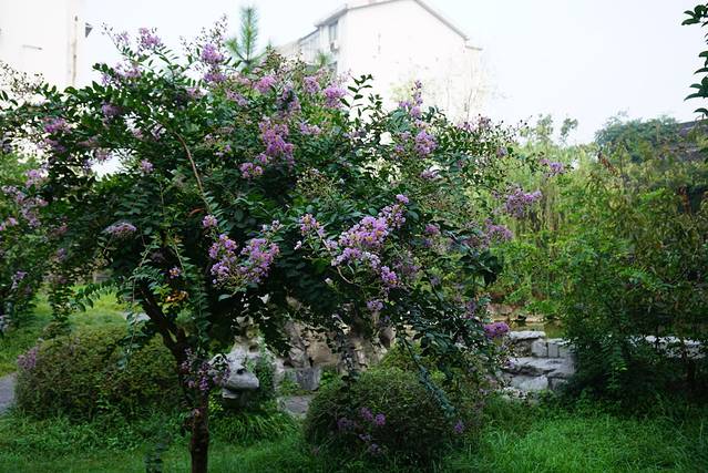 扬州淮扬菜博物馆卢氏盐商