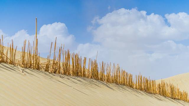 塔克拉玛干沙漠