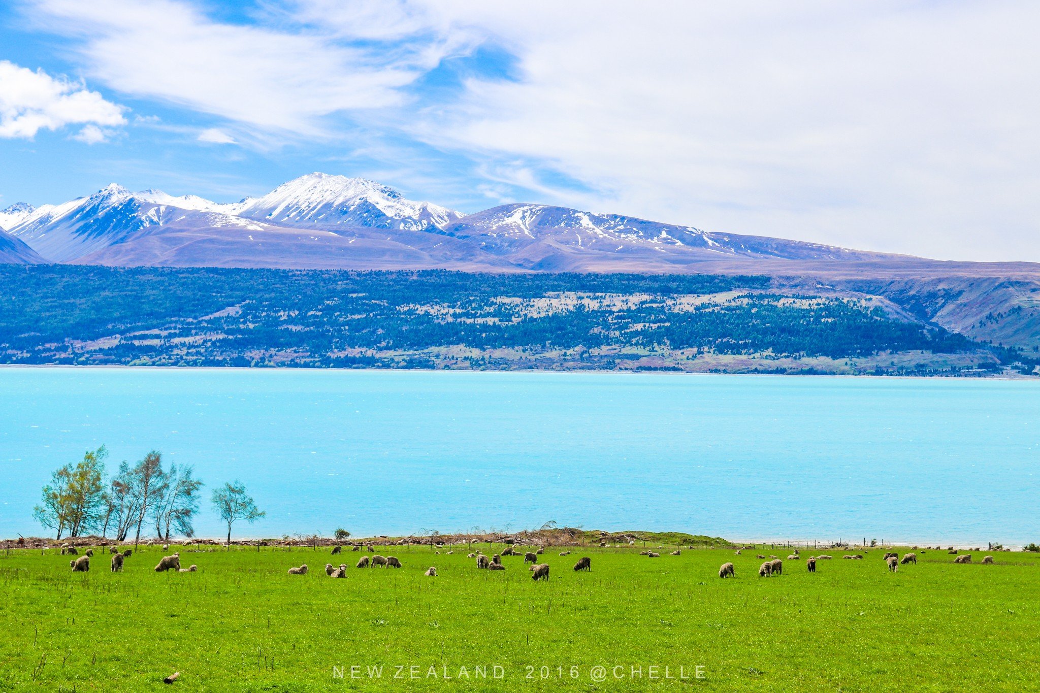 妈妈们陪伴【新西兰】 告别lake pukaki ,我们朝着远处的雪山继续前行