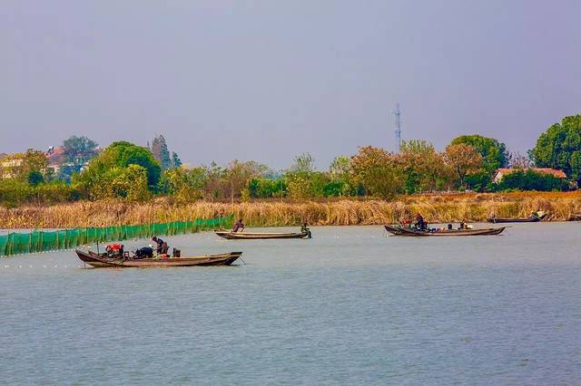 武汉后官湖国家湿地公园