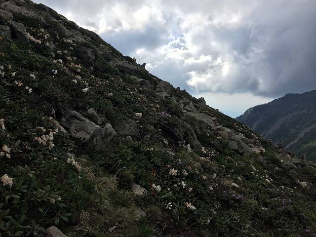 太白山国家森林公园-大文公庙