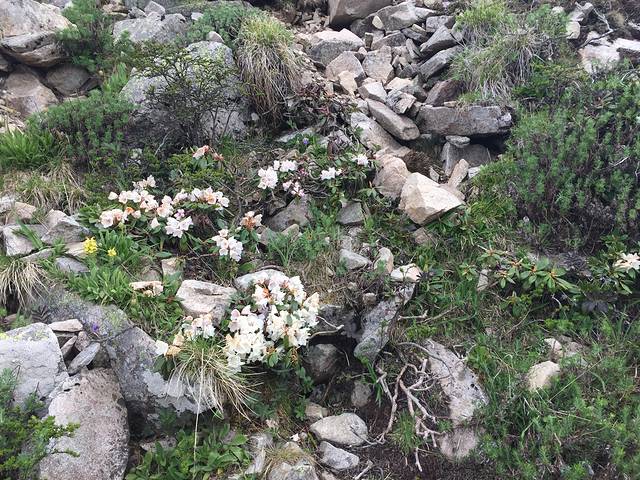 太白山国家森林公园-大文公庙