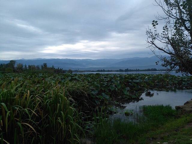 观鸟岛湿地公园
