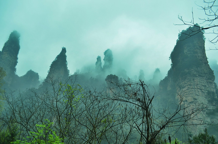 可是一下到十里画廊就会被烟雨蒙蒙的美景所吸引!