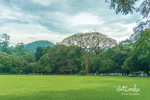 康提皇家植物园
