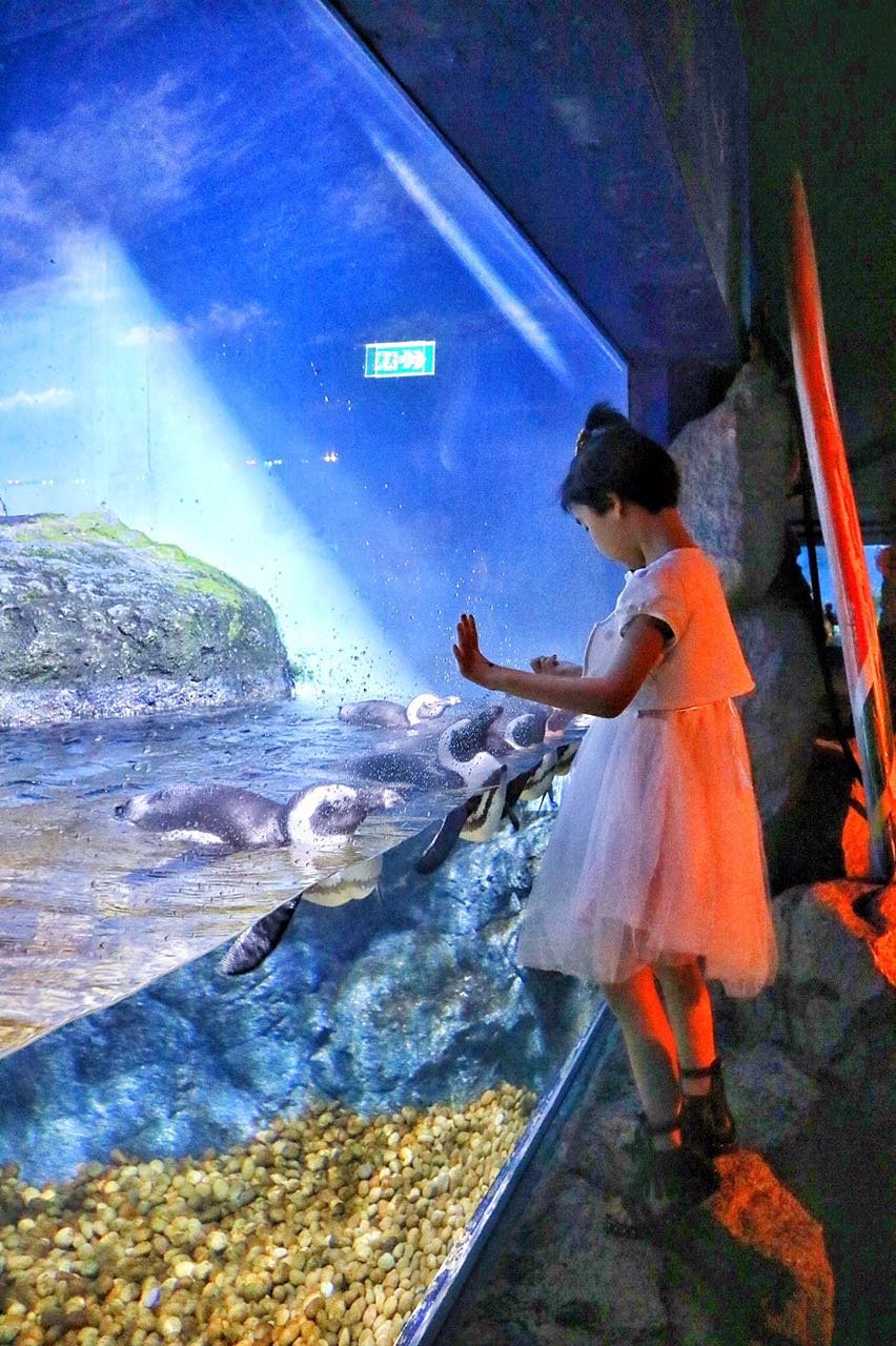 暹罗百丽宫,旅游攻略,自助游,自驾游,自由行,游玩攻略指南【去哪儿