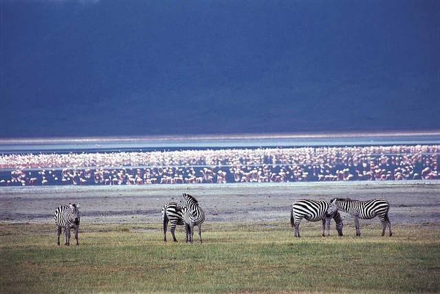 曼雅拉湖国家公园