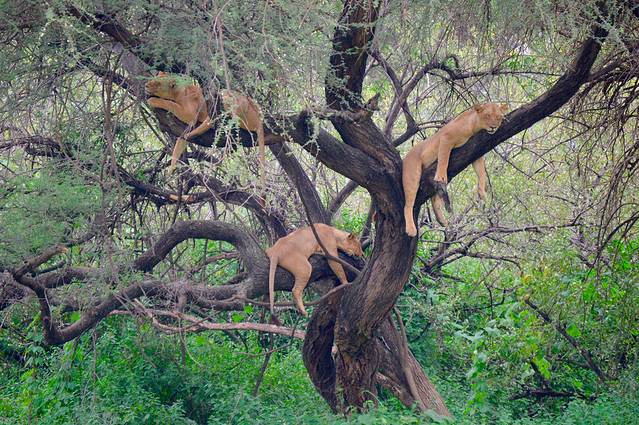 曼雅拉湖国家公园