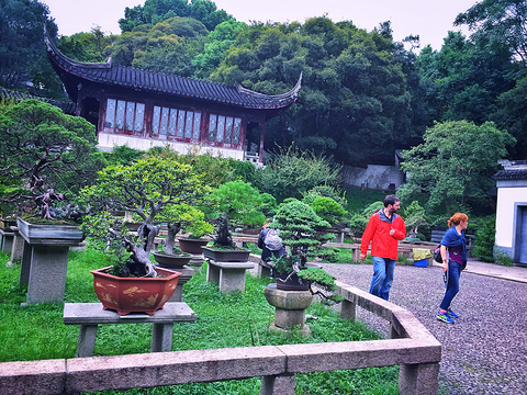 万景山庄旅游景点攻略图