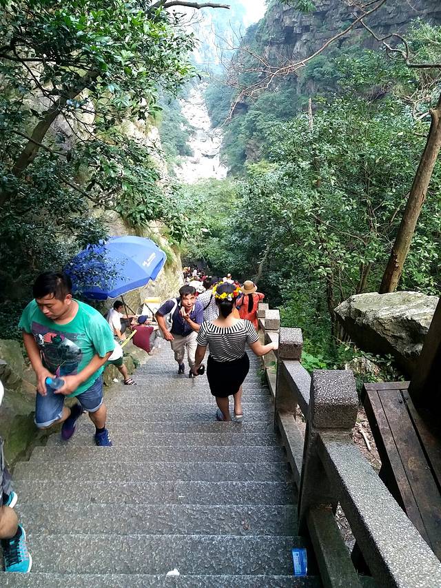 从南岳衡山到庐山之恋--终成就五岳名山大满贯