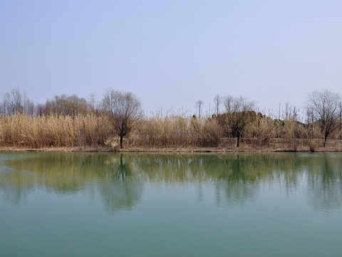 苏州太湖国家湿地公园旅游景点图片