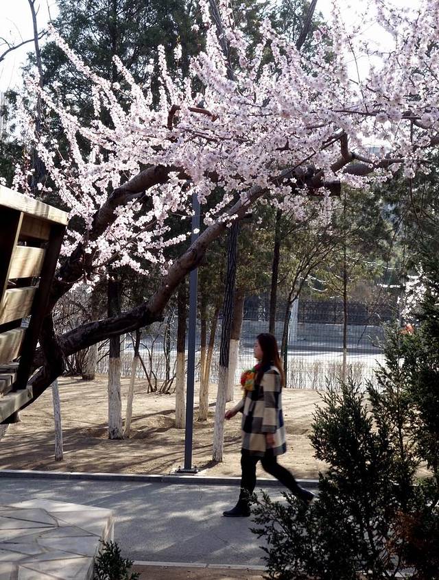 沈阳市国防教育主题公园