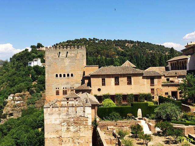 阿尔卡萨瓦城堡