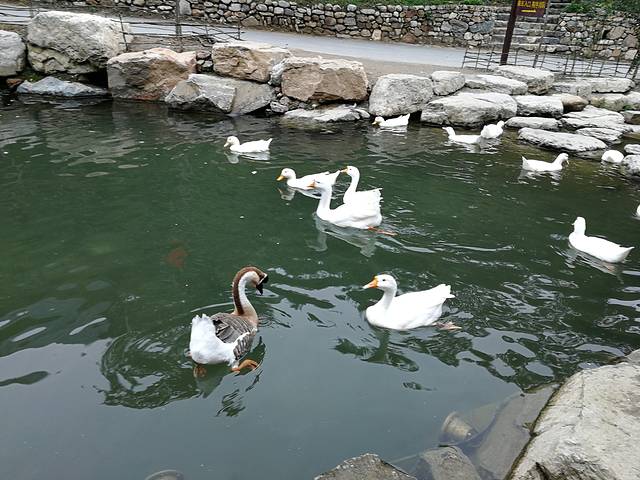 云丘山旅游风景区