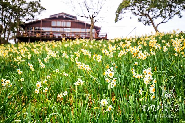 能古岛露营村、海水浴场