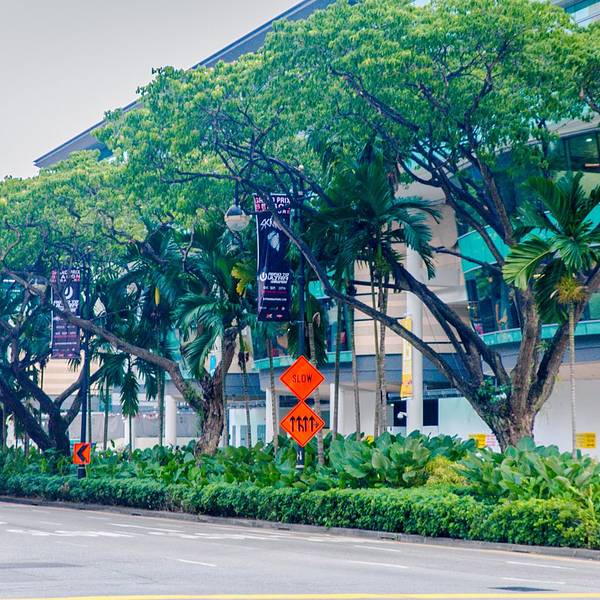 新加坡旅游景点_新加坡旅游人均(2)