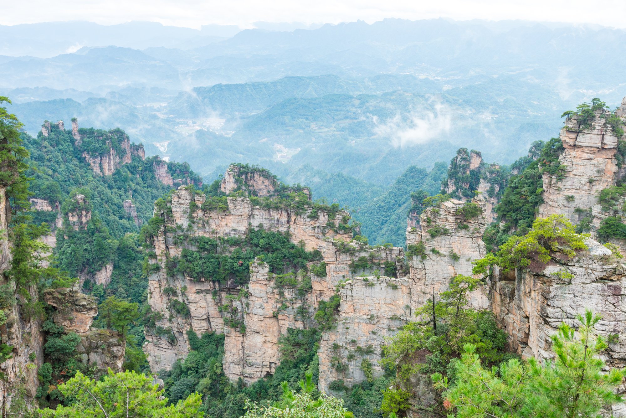 2023杨家界游玩攻略,其延伸方向受构造节理的控制...【去哪儿攻略】