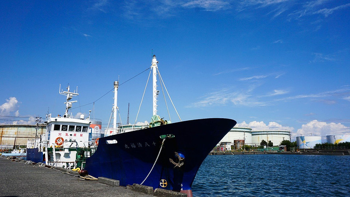 清水港鱼市,在我们传统的观念里,鱼市便是买卖各种鱼的市场,给人的