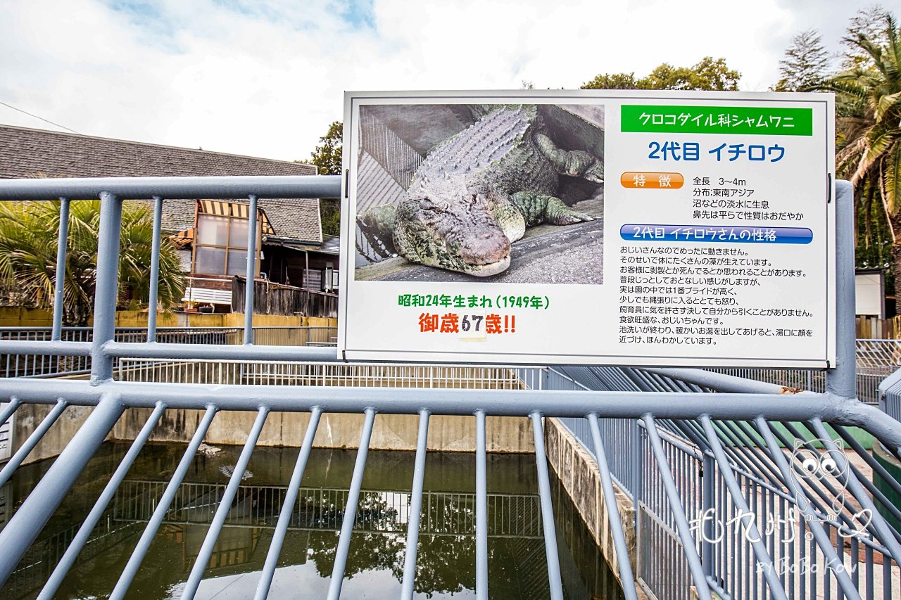 22山地狱游玩攻略 鬼山地狱鬼山地狱又被称为鳄 去哪儿攻略