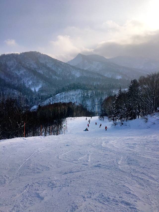 札幌国际滑雪场
