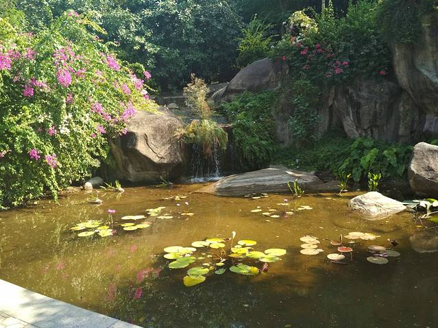 厦门园林植物园-百花厅