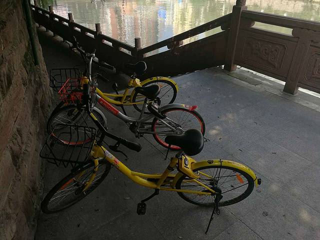 府南河活水公园