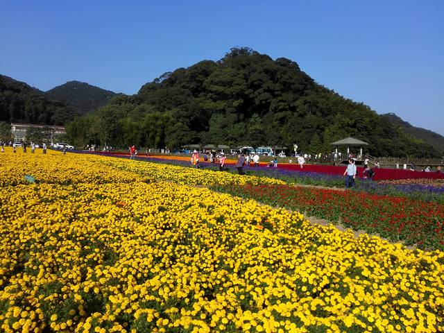 石门国家森林公园