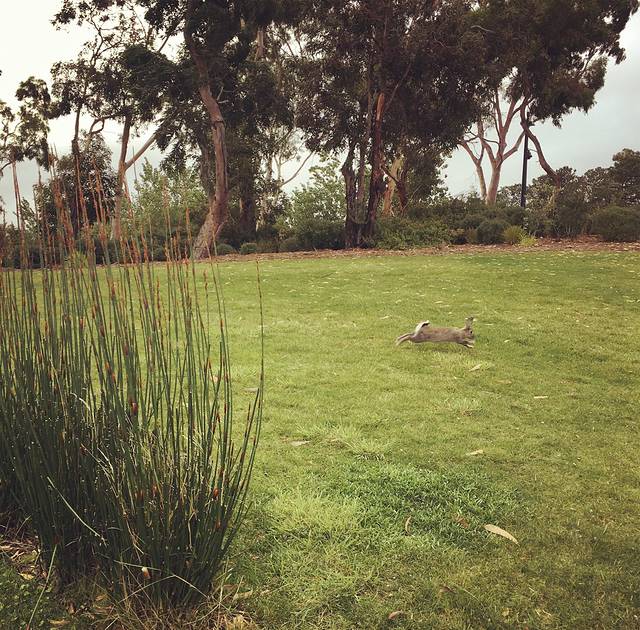 古今艺术博物馆