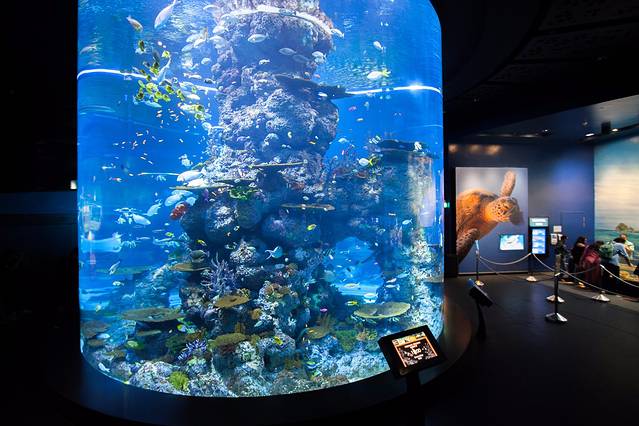 新加坡海洋生态馆