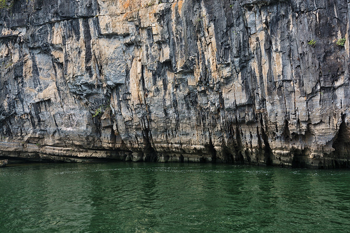不但卖相不好_漓江风景名胜区"的评论图片
