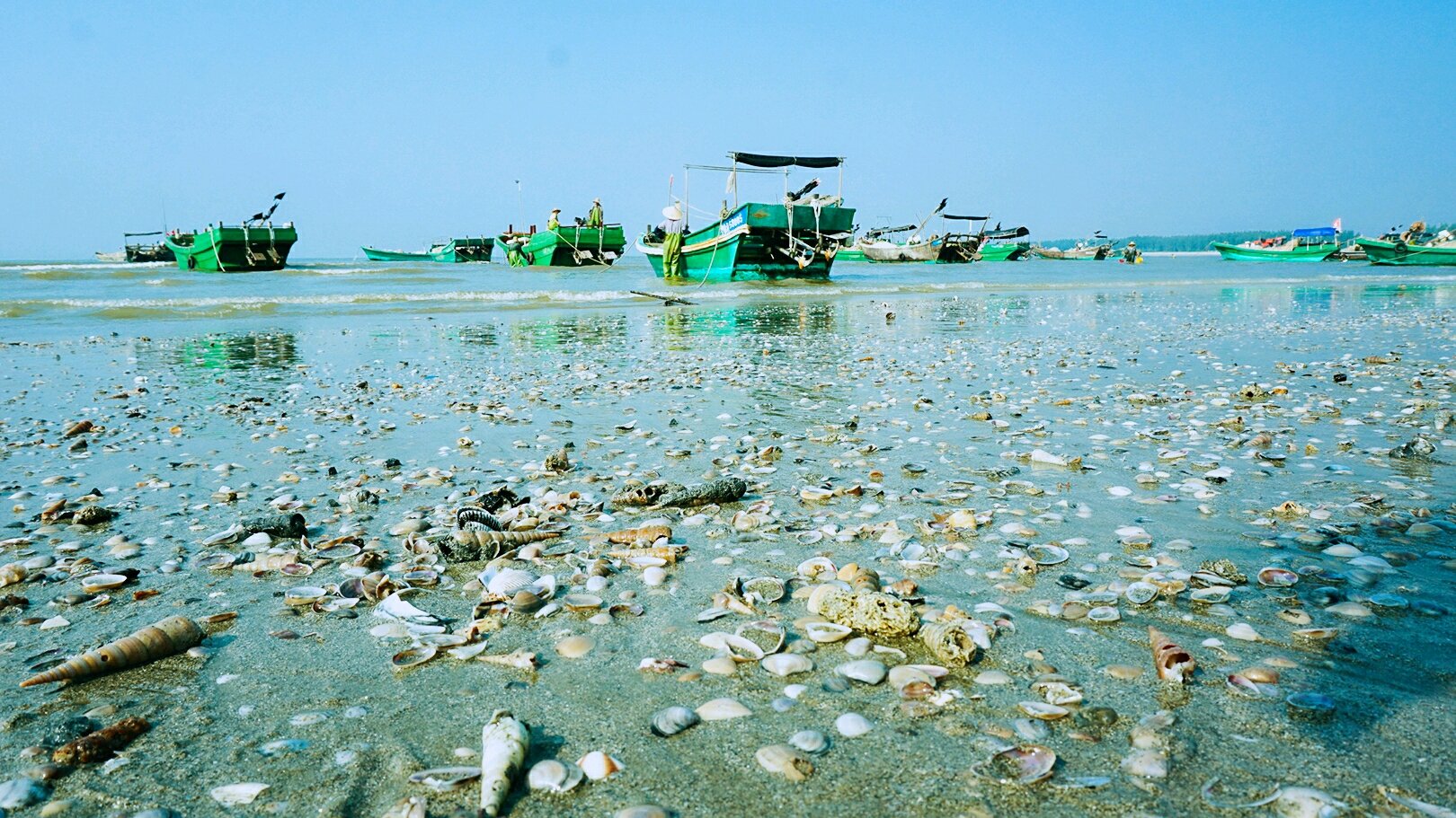 海滩上有好多贝壳,还可以抓到小螃蟹,上午渔船归来,拉上沙滩就卖海鲜