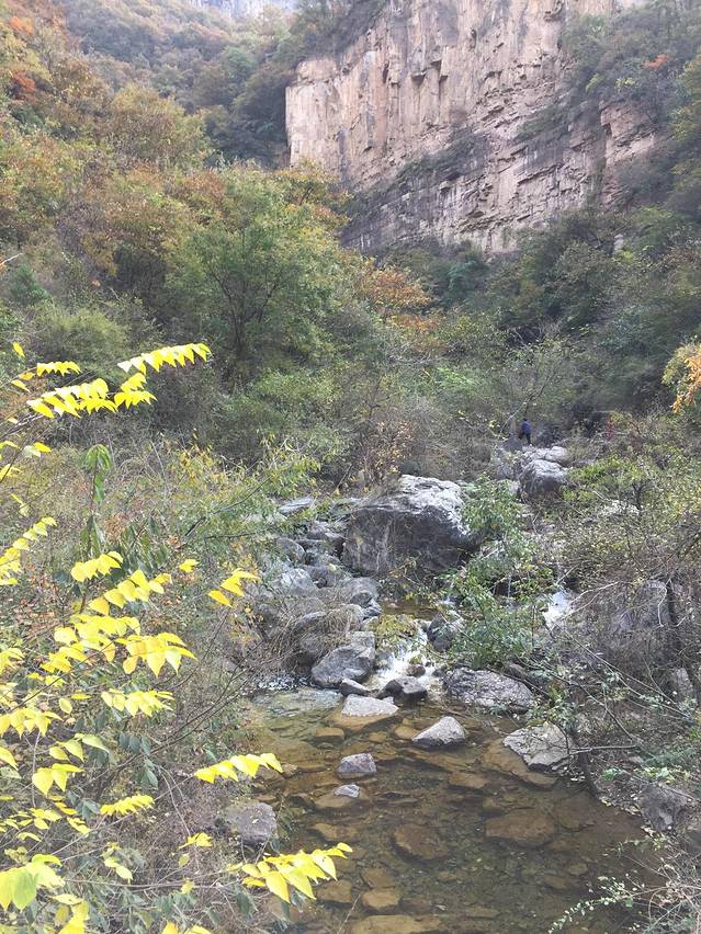 猕猴谷-猕猴表演区