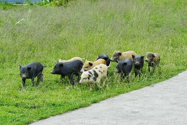 林芝自然博物馆