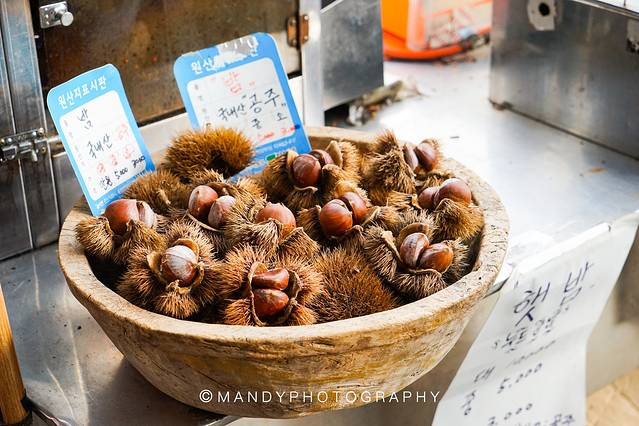 西归浦每天偶来市场