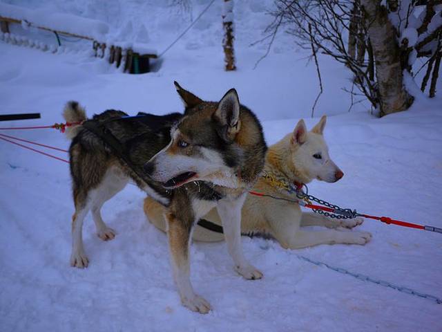 Saariselka Ski Resort