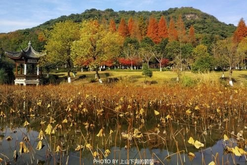 湘湖旅游度假区-荷花庄