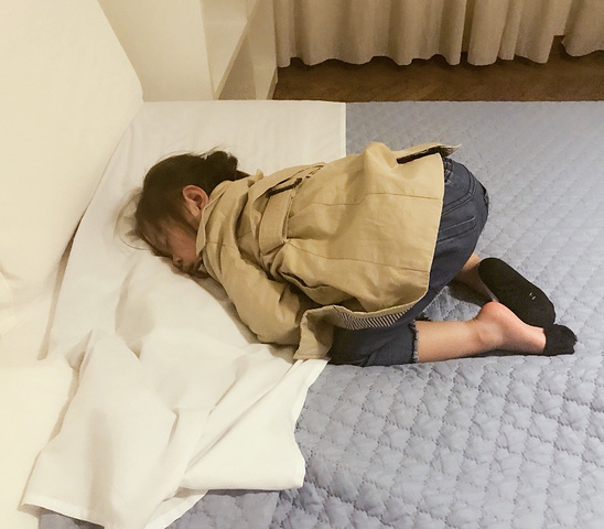 "...而过了，反正明日黄昏之时还要坐水上巴士再来欣赏夕阳美景的，可是万万没想到的是，这一瞥尽成了永恒_威尼斯大运河"的评论图片