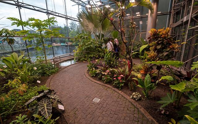 科隆巧克力博物馆