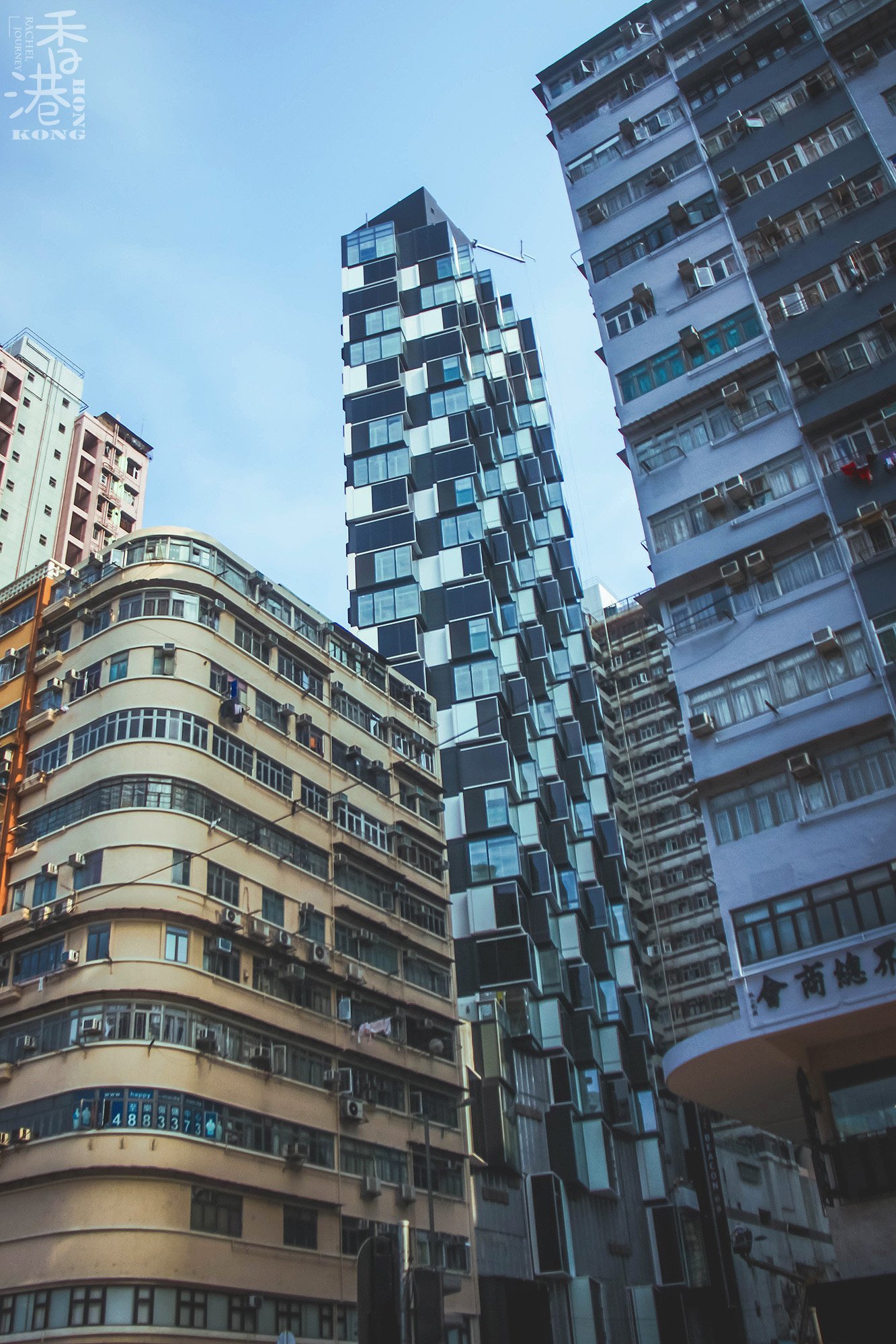 旺角这边的街道基本上分工都很明确,每一条街道都有专营的一项东西,而