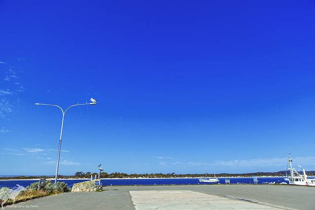 克利福德蜂蜜农场